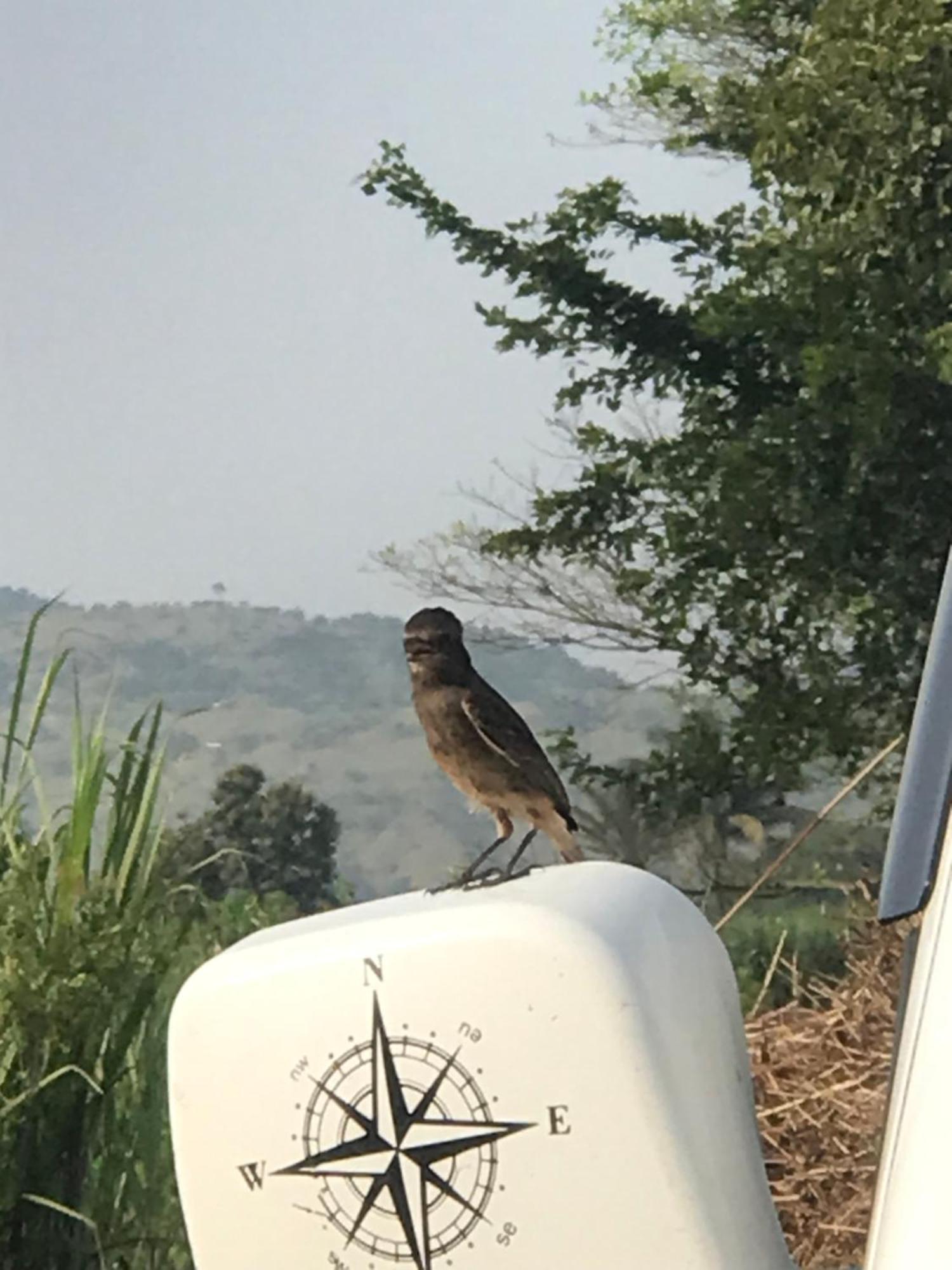 Ingawale Farmhouse Satara Dış mekan fotoğraf