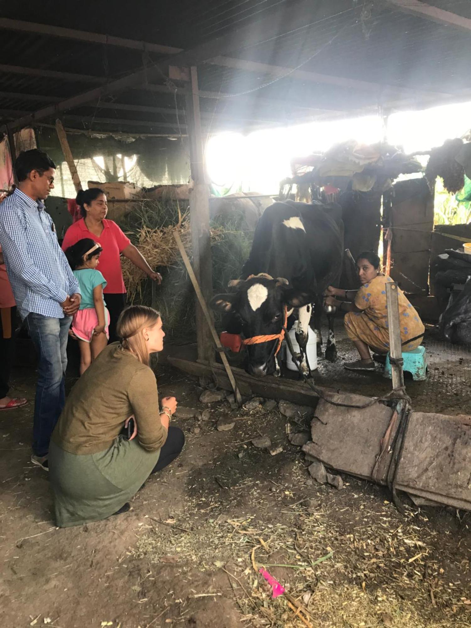 Ingawale Farmhouse Satara Dış mekan fotoğraf